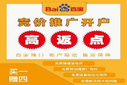 某品牌sem竞价托管代运营的精彩瞬间